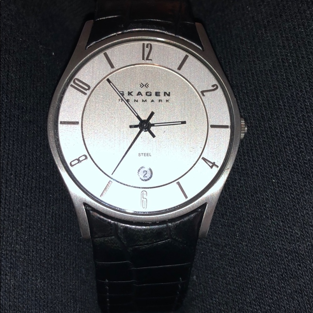 Mens Skagen Denmark Watch